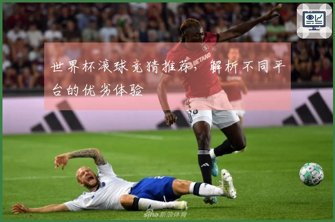 世界杯滚球竞猜推荐，解析不同平台的优劣体验