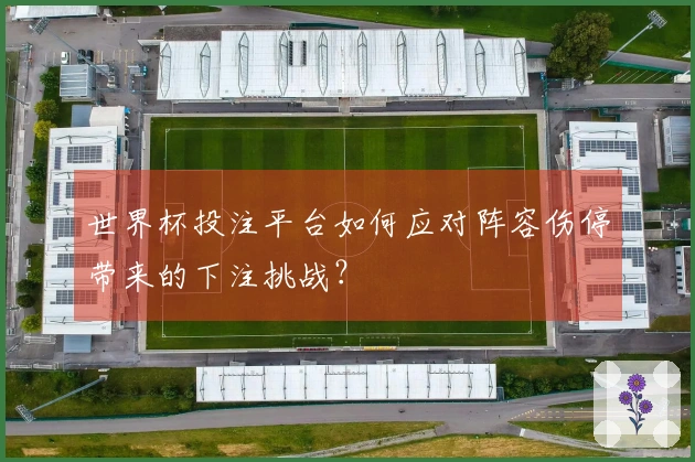 世界杯投注平台如何应对阵容伤停带来的下注挑战？