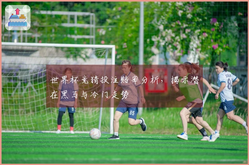 世界杯竞猜投注赔率分析，揭示潜在黑马与冷门走势