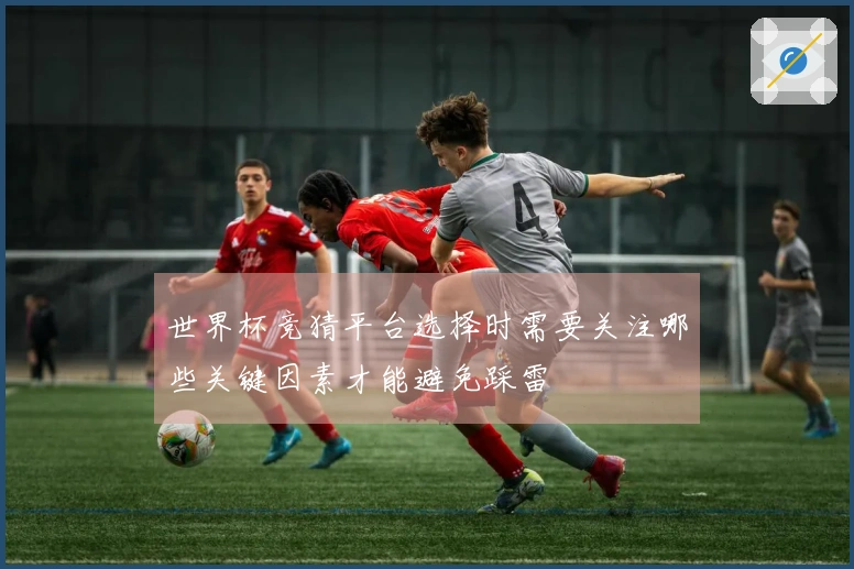 世界杯竞猜平台选择时需要关注哪些关键因素才能避免踩雷