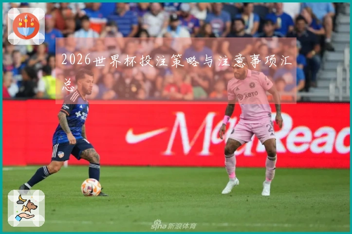 2026世界杯投注策略与注意事项汇总