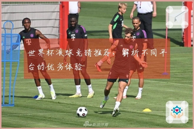 世界杯滚球竞猜推荐，解析不同平台的优劣体验