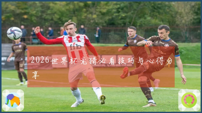 2026世界杯竞猜必看技巧与心得分享