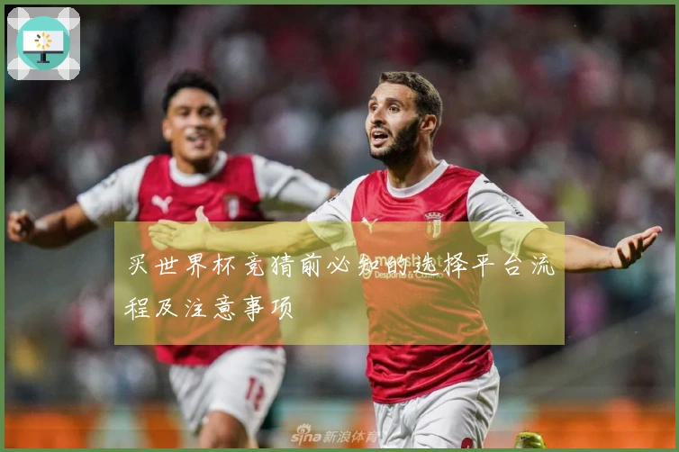 买世界杯竞猜前必知的选择平台流程及注意事项