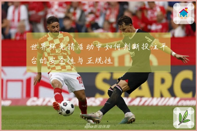世界杯竞猜活动中如何判断投注平台的安全性与正规性